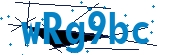 recaptcha