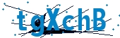 recaptcha