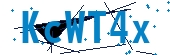 recaptcha