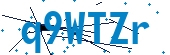 recaptcha