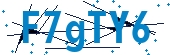 recaptcha